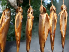 Smoke-drying chamber