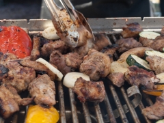 Catering shashlik grill